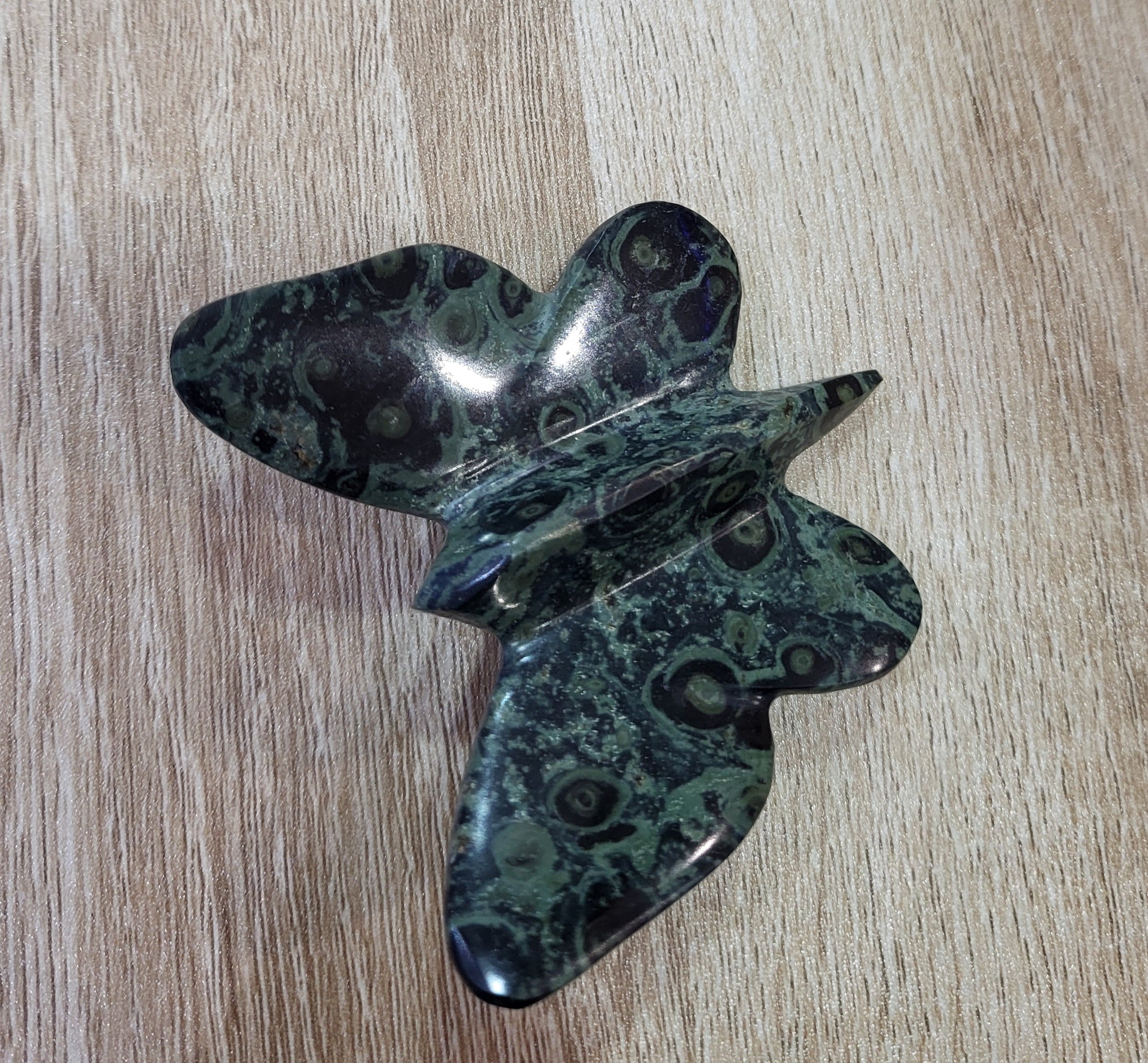 Papillon Jaspe Kambaba ou jaspe crocodile – Image 1