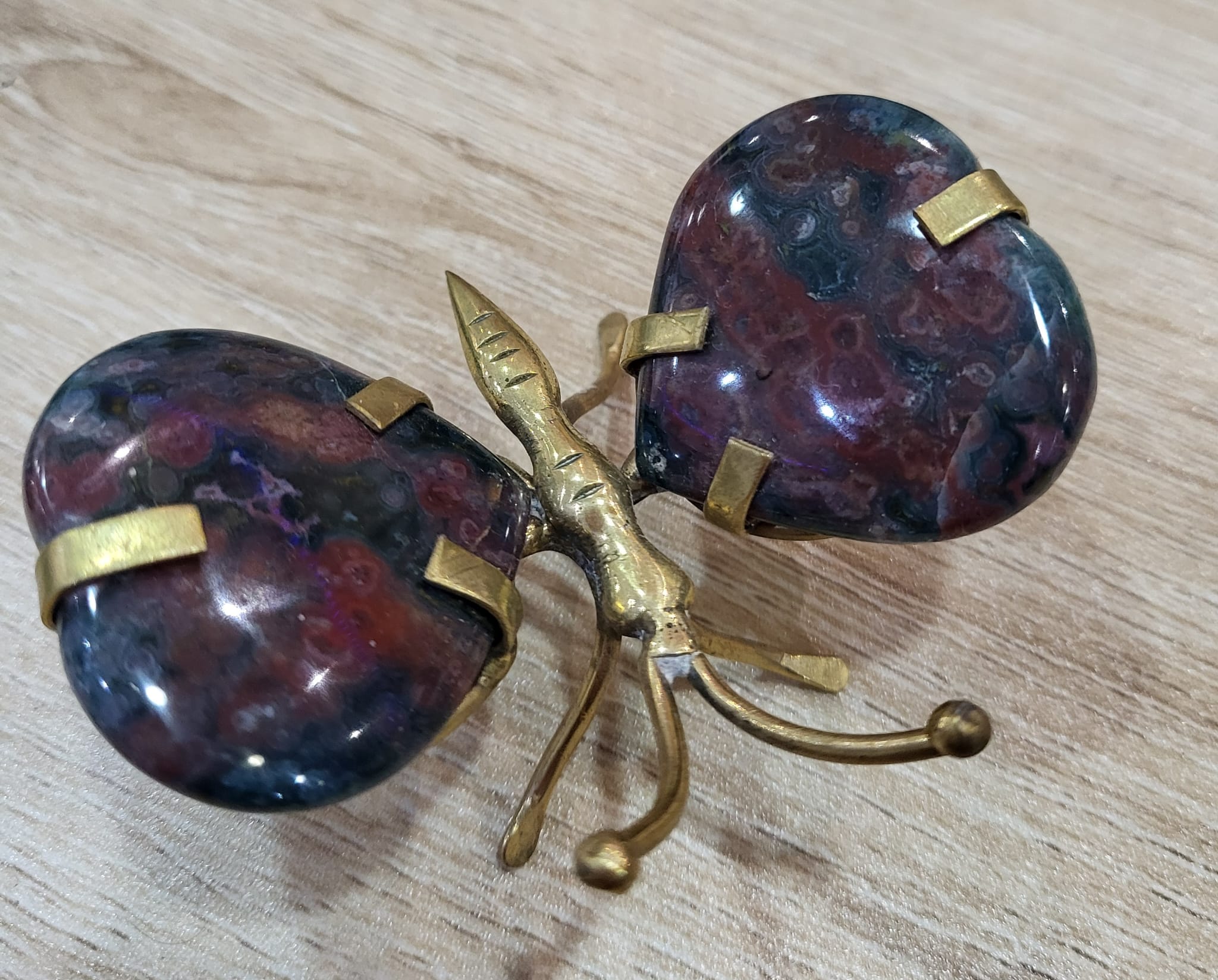 Papillon Jaspe – Image 1